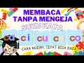 Download Lagu BELAJAR MEMBACA METODE SUKU KATA CA CI CU CE CO TANPA MENGEJA UNTUK PAUD TK, PASTI CEPAT BISA