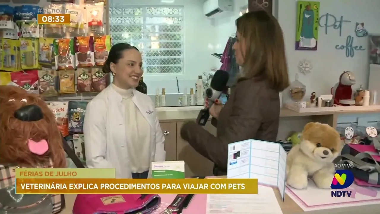 Veterinária mostra como embarcar com cachorro ou gato em viagens de avião, ônibus ou carro