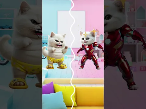 Which Kitten Gets a Costume