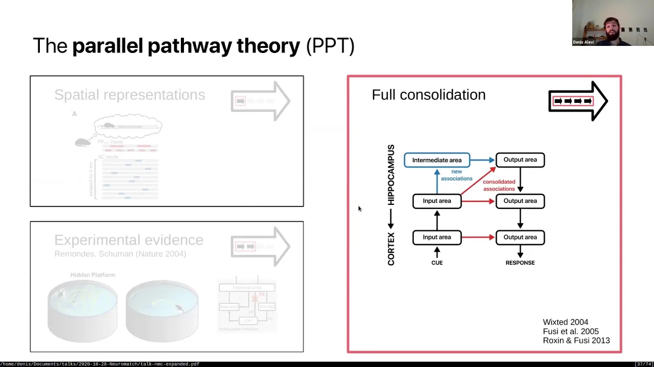 Talk: Hebbian plasticity in parallel synaptic pathways: A circuit mechanism for systems memory cons…