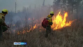 В Омске подведут итоги лесопожарного сезона