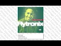 DJ Cam - Innervisions (Flytronix Remix)
