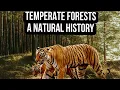 Temperate Forests A Natural History Part 1 Biology Ecology and Life