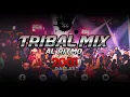 Download Lagu Tribal Mix Al Ritmo de Escapade 2001 (Mix 2023) - Dj Echo