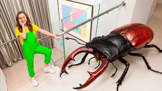 Kids catch GIANT insects at home and enjoy more fun animal stories!