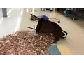 Falling With 30 000 Pennies