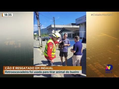 Cão é resgatado em Indaial: retroescavadeira foi usada para tirar animal do bueiro