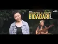 Download Lagu Ismail Izzani -【 Bidadari 】 EDM Cover ( Priscilla Abby 蔡恩雨  )
