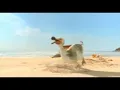 5 Alive Dodo ~ Television Advert