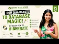 ORM Hibernate JPA Explained for Beginners Spring Boot Tutorial Day 24