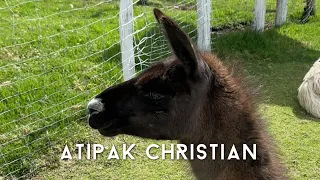 @AtipakChristian Andean instrumental music from the heart 🌹