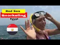 Lagu Snorkeling Girlfriend  - Snorkeling Girl in Egypt