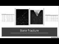 Melanie Dietrich - Detection of microstructural geometry and damage in cortical bone images
