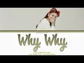 Download Lagu Shannon Williams (샤넌) - ‘Why Why (왜요 왜요)' Lyrics 가사 (Color Coded Han/Rom/Eng)
