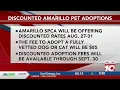 Amarillo animal agencies offering discounted adoption fees