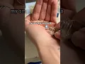 my smallest tarantula