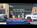 Shooting at McCain Mall