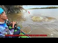 Download Lagu Menaklukkan Monster Black Bass!! Di Mulai Di Spot Perbatasan Air Asin Dan Tawar. #fishing 