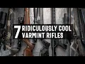 7 Excellent Varmint Rifles