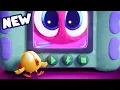 (NEW) GIANT POYO! | Where's Chicky? 4 | Cartoon Collection in English for Kids | New Episodes HD