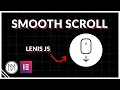 Easily add SMOOTH SCROLL for Free with Lenis js - Elementor and Wordpress Tutorial