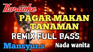Download Pagar makan tanaman Remix karaoke nada wanita MP3