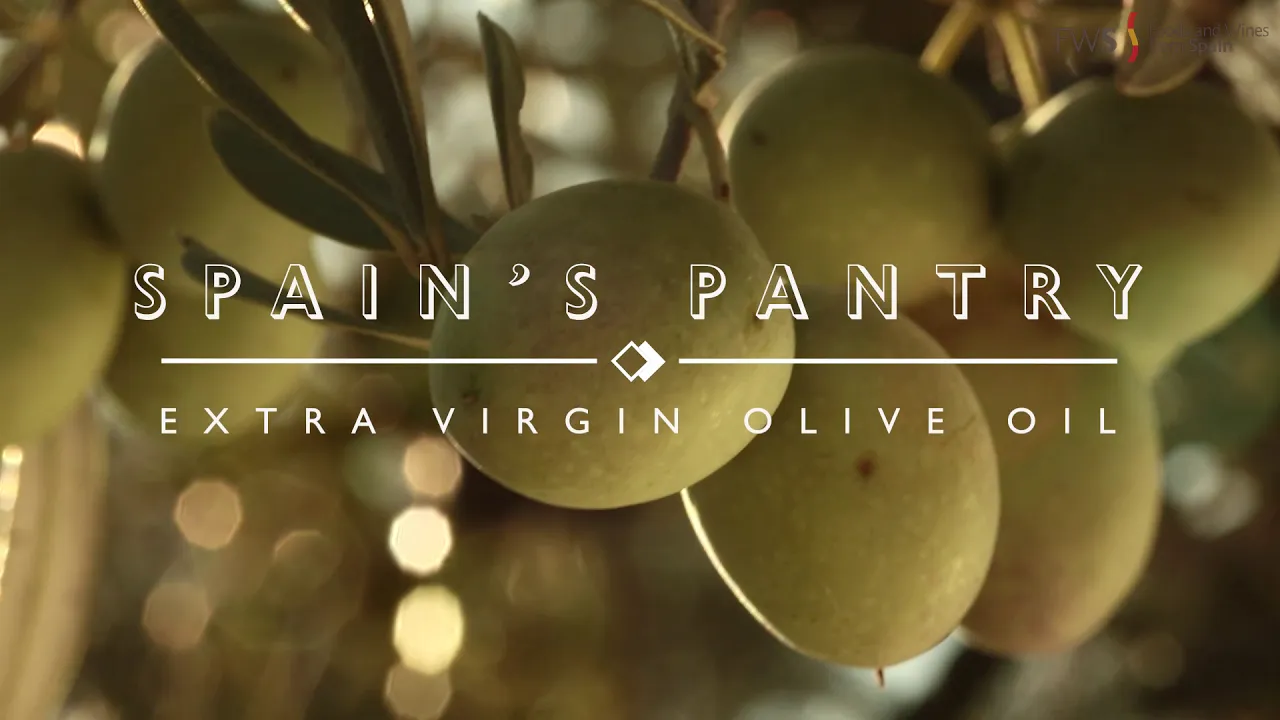 Spains Pantry: Extra Virgin Olive Oil