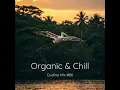 Download Lagu Dudino Mix #06 - Organic \u0026 Chill (Rezident, Krasa Rosa, Proff, Slow Ted, ANUQRAM, Nōpi, Artic White)