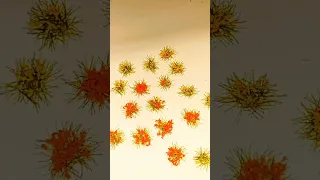 Flowers Flower Bushes For Diorama Static Grass 6 Mm Wood Glue And Powder Of Different Colors 