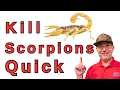 The Scorpion Killer Treatment Nobody s Talking About
