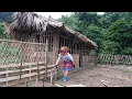 Download Lagu The Life of a Single Mother in a Bamboo House: A Busy Day with Gardening and Planting Vegetables!