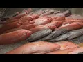 Harrelson s Seafood Market