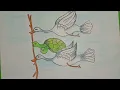 The Foolish Tortoise drawing for kids
