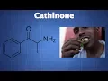 Download Lagu Cathinone: What You Need To Know