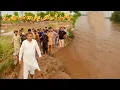 Download Lagu Flood in Sialkot Pakistan | Sialkot Selaab Mutasreen | Mubashir Saddique | Village Food Secrets