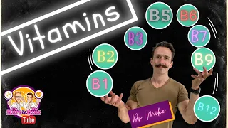 B Vitamins B1 B2 B3 B5 B6 B7 B9 B12