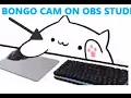 How To Use Bongo Cat Cam In OBS