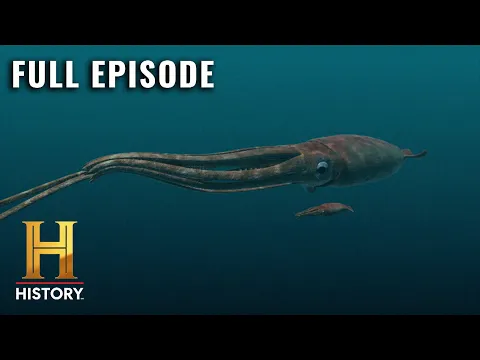 Download MP3 MonsterQuest: GIANT SQUID DISCOVERED (S1, E3) | Full Episode