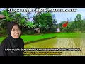 Download Lagu SEPERTI INILAH SUASANA HUJAN DI KAMPUNG NENG LULU DA7 Indosiar GADIS CANTIK RAMAH DAN SEDERHANA