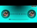Bullet Song 🥳 | The Warriorr | Simbu (STR)| Krithi Shetty | DSP 🥳 | STR | Spectrum music