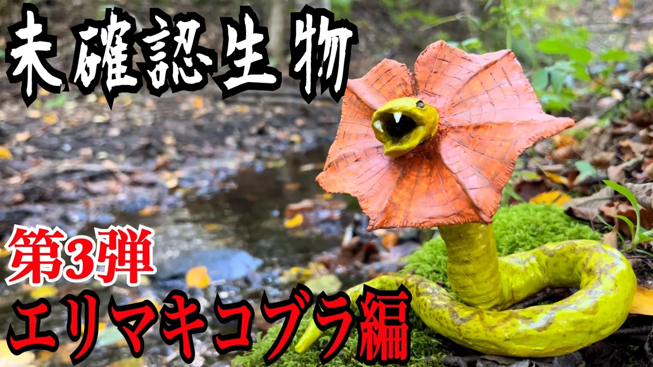【未確認生物】エリマキコブラ見つけるまで帰れません!!!