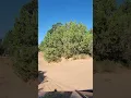 Harley Velasquez in Moab Utah on slick rock on fins and things trail