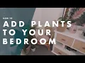 How to Add Bedroom Greenery With Relaxing Plants - Bunnings Warehouse