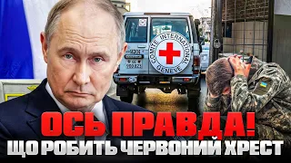 Что скрывает Красный Крест — расследование "Наша справа" - 285x160