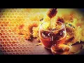 Download Lagu Veszik a magyar mézet