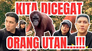 TANTRI ARDA - Kita Di Cegat Orang Utan Di Tengah Hutan...!