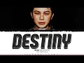 WOOZI (SEVENTEEN) 'Destiny (운명)' Lyrics [Color Coded Han_Rom_Eng] | ShadowByYoongi