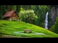 Download Lagu Calming Music to Heal the Heart🌿 Nature Sounds for Stress Relief, Deep Sleep Healing
