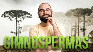 Gimnospermas - Aula 04 - Módulo 5: Botânica