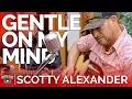 Download Lagu Scotty Alexander - Gentle On My Mind (Acoustic Cover) // Country Rebel HQ Session